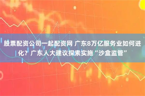 股票配资公司一起配资网 广东8万亿服务业如何进化？广东人大建议探索实施“沙盒监管”